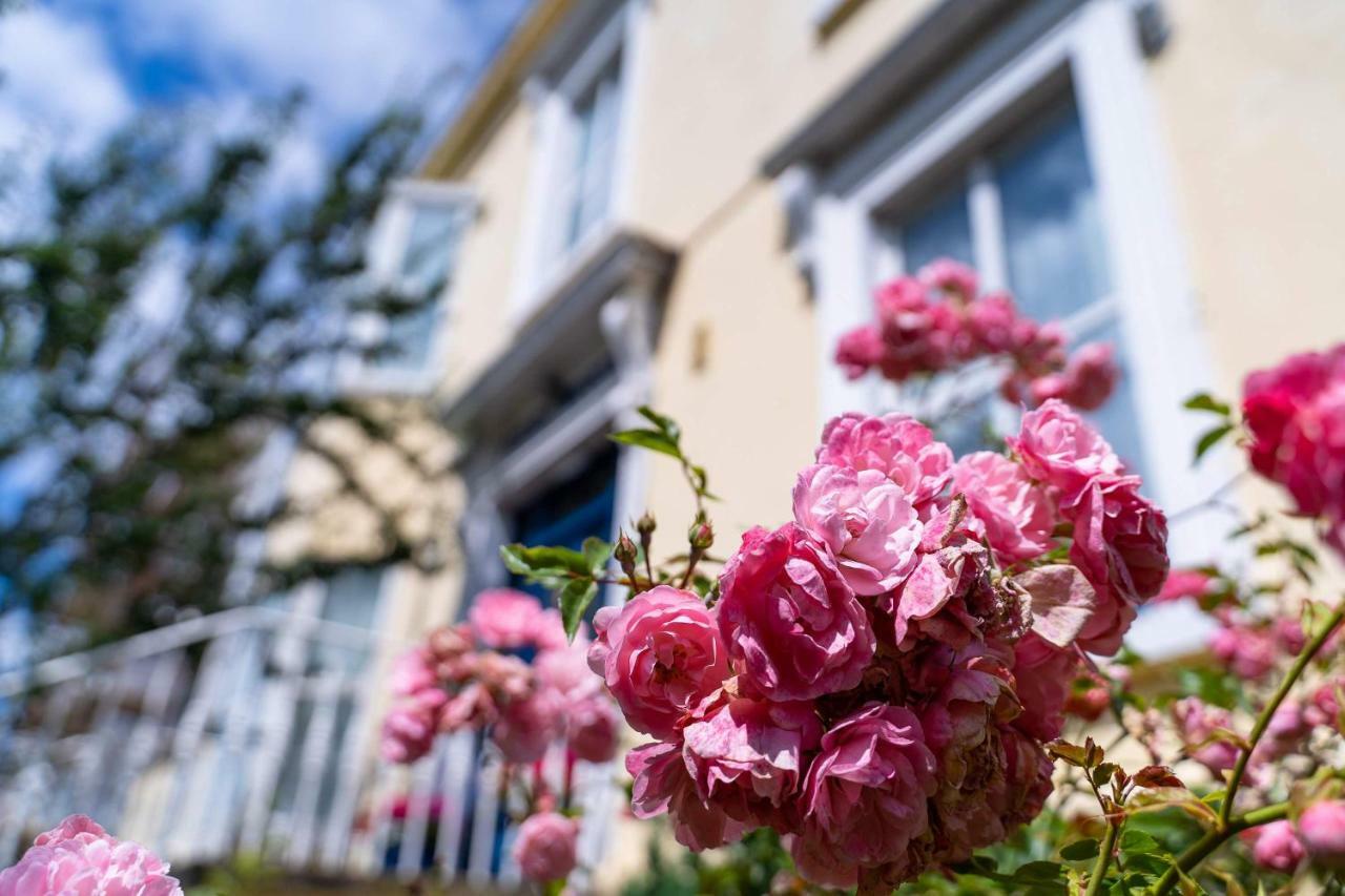 Ferry House Bed & Breakfast Dun Laoghaire Exterior photo